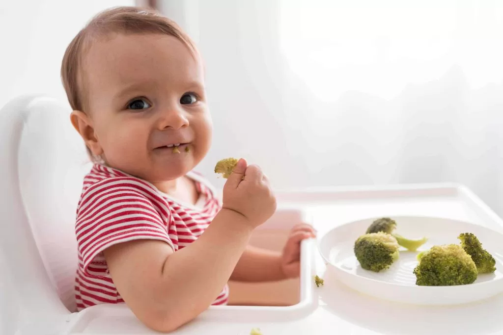 Com Quantos Meses Começa a Introdução Alimentar?